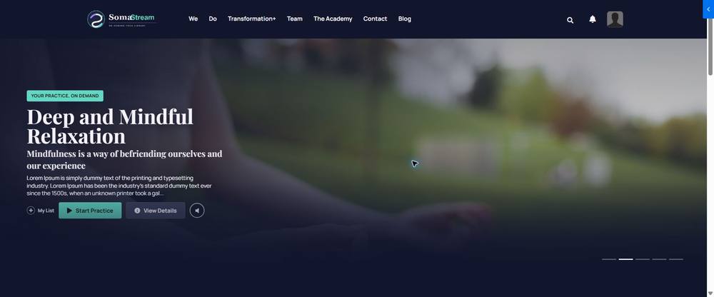 Ojas Stream full-page preview